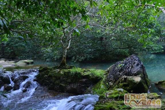 电动飞机诞生:单价4百万美元!续航8百公里可载11人已售2千架